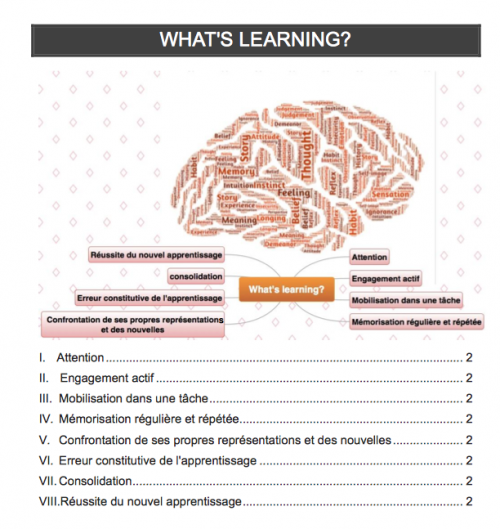 Les phases de l'apprentissage mis en lumière par les neurosciences