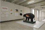 L'ours naturalisé d'Abraham Poincheval et ses documents au Palais de Tokyo, février 2017