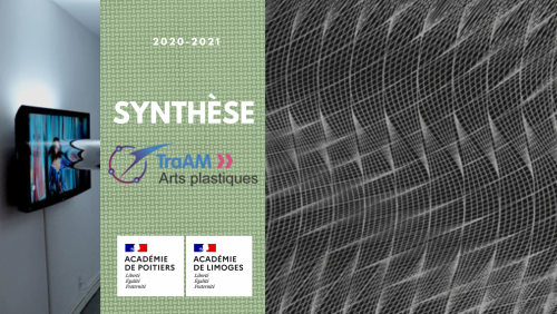Visuel synthèse des TraAM Arts plastiques 2020-21