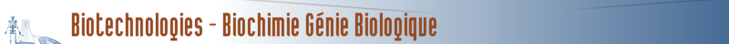 Accueil : Biotechnologies - Biochimie Génie Biologique