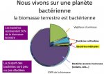 Notre planète bactérienne