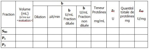 Tableau des activités catalytiques des différentes fractions