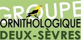 Le logo du Groupe Ornithologique des Deux-Sèvres