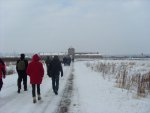 Chemin menant au camp d'Auschwitz-Birkenau