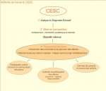 CESC, l'analyse du diagnostic éducatif 