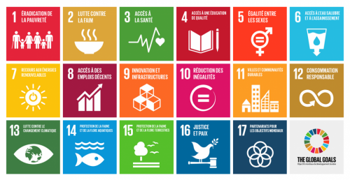 Les 17 Objectifs de Développement Durable de l'ONU