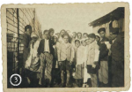 Tsiganes et Juifs au camp de la route de Limoges (la Vienne 1939-1945) - Archives 86