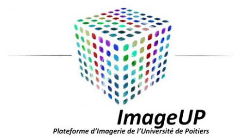 logo "imag up"