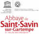 https://www.abbaye-saint-savin.fr/