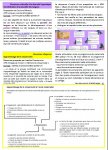 Image page 3 "maternelle infos 79"