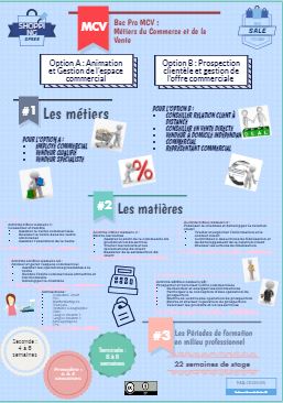 Infographie Bac Pro Métiers du Commerce et de la Vente