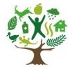 logo année internationale des forêts 2011