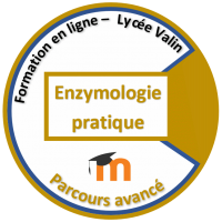 Activite Technologique D Enzymologie Virtuelle Biotechnologies Biochimie Genie Biologique Stms Pedagogie Academie De Poitiers