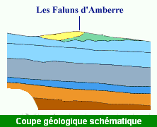 Coupe Géologique simplifiée Amberre