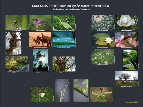 Concours photo 2008 Lycée Berthelot "La biodiversité en Poitou-Charentes"