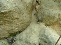 érosion calcaire