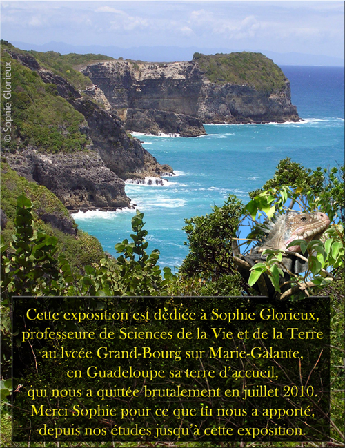 Poster Hommage à Sophie Glorieux Guilloux