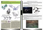 Plusieurs chapitres sur la biodiversité sont illustrés lors de sorties (valeur culturelle- source d'inspiration, étymologie)