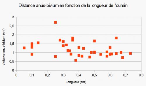 Graphique distance anus-bivium en fonction de la longueur de l'oursin