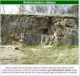 Sédimentation entrecroisée d'estuaire: fossiles faluns d'Amberre