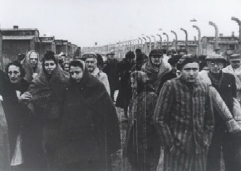 Photo d'illustration : Groupe de déportés rescapés d'Auschwitz, après la libération du camp, le 27 janvier 1945 (Source : Mémorial de la Shoah) 