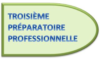 Troisième Préparatoire Professionnelle Troisième Préparatoire Professionnelle