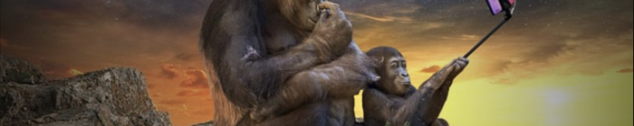 Logo article central