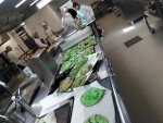 Le vert est à l'honneur dans les cuisines 
