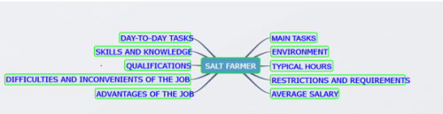 Carte mentale "Salt farmer" séquence Mme Soudant -Le projet "The White Gold farmer"