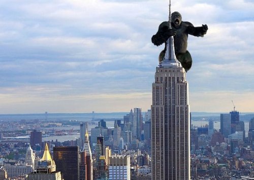 kingkong