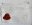 recherche page de carnet 