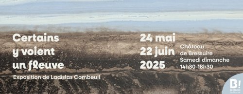 Certains y voient un fleuve, Ladislas Combeuil, Château de Bressuire - Visuel Certains y voient un fleuve, Ladislas Combeuil, Château de Bressuire - Visuel