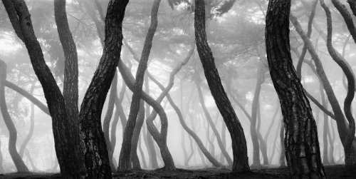 BAE BIEN-U, snm5a-011h (Sonamu), 2014 , Photographie, 135 x 260 cm