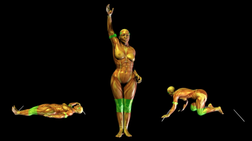 ORLAN, La liberté en écorché, modélisations 3D, vidéo, 2013