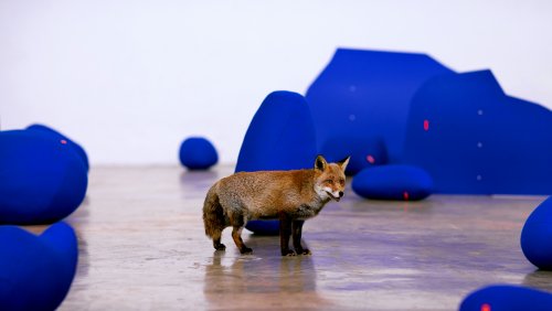 Alix Boillot, Scénographie potentielle, 2019-2024