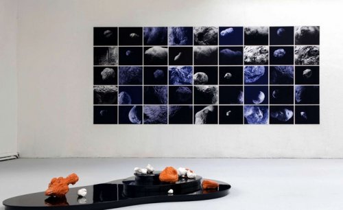 Les éteints, céramique émaillées, argile récupérée en forêt, plateforme laquée, 250x90cm, 2019, et Asteros solanums, série de 45 photographies de 40x53cm, 500x300cm, 2018