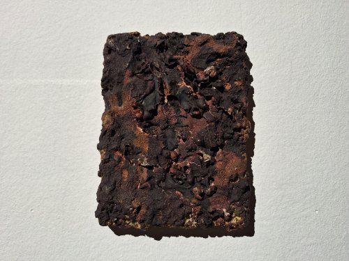 Paulius Šliaupa, Critters, peinture, pâte à texturer, 2024