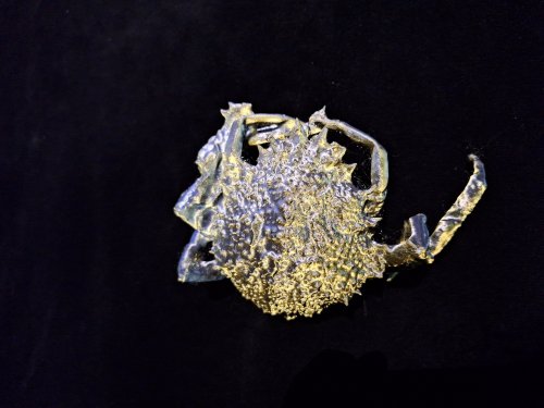 Paulius Šliaupa, Critters, impression 3D en fils brillants, 2024
