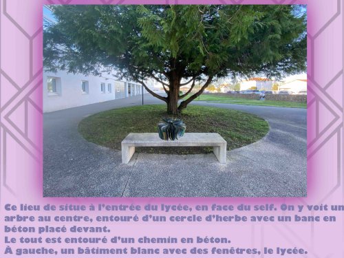 Espèce d'espace : proposition de Marina