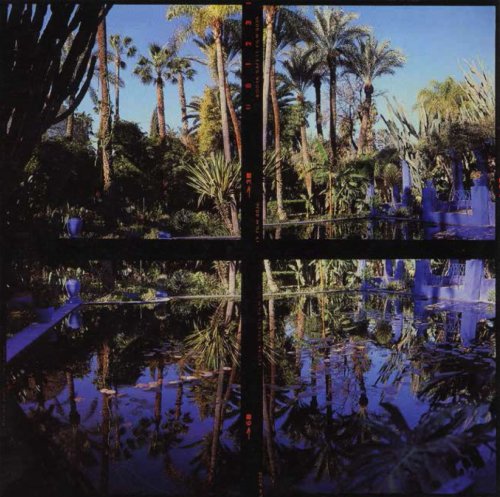 alain_fleig_jardin-majorelle_n_1_marrakech_1985_cibachrome