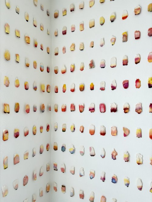 Imprégnations imprédictibles, détail