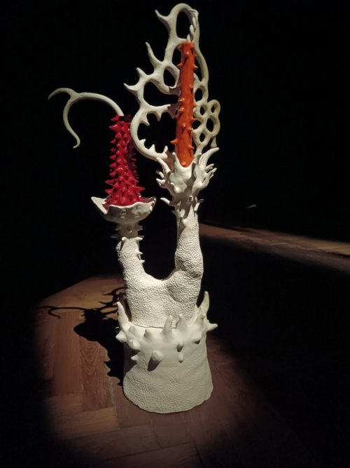 Lorenzo Muratorio, A natureza das criaturas