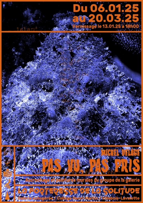 Pas vu, pas pris – Michel Delage – Visuel Pas vu, pas pris – Michel Delage – Visuel