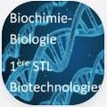 BioBio-STL