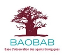 logo_baobab