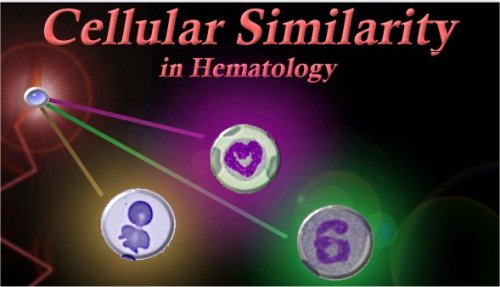 Cellular Similarity in Hematology