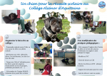 Chien de réussite éducative