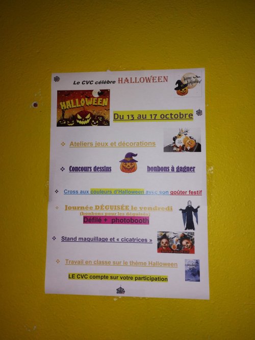 whatsapp_image_2025-11-07_at_09