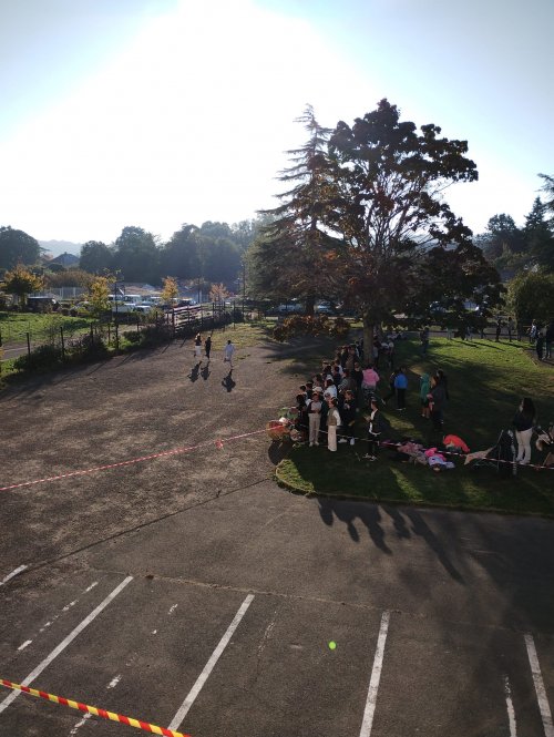 whatsapp_image_2025-11-07_at_09