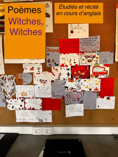 whatsapp_image_2025-11-07_at_09